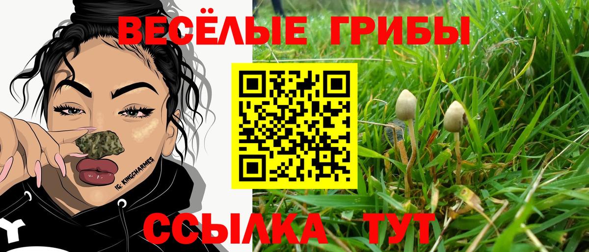 Выкса  Псилоцибиновые грибы мухоморы  Вход с VPN  Псилоцибиновые грибы мицелий 